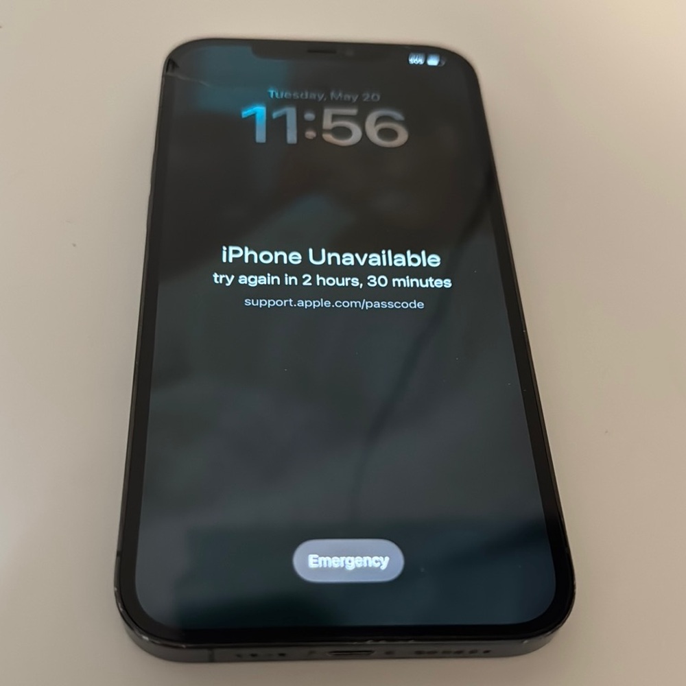 Apple iPhone 12 Pro Max